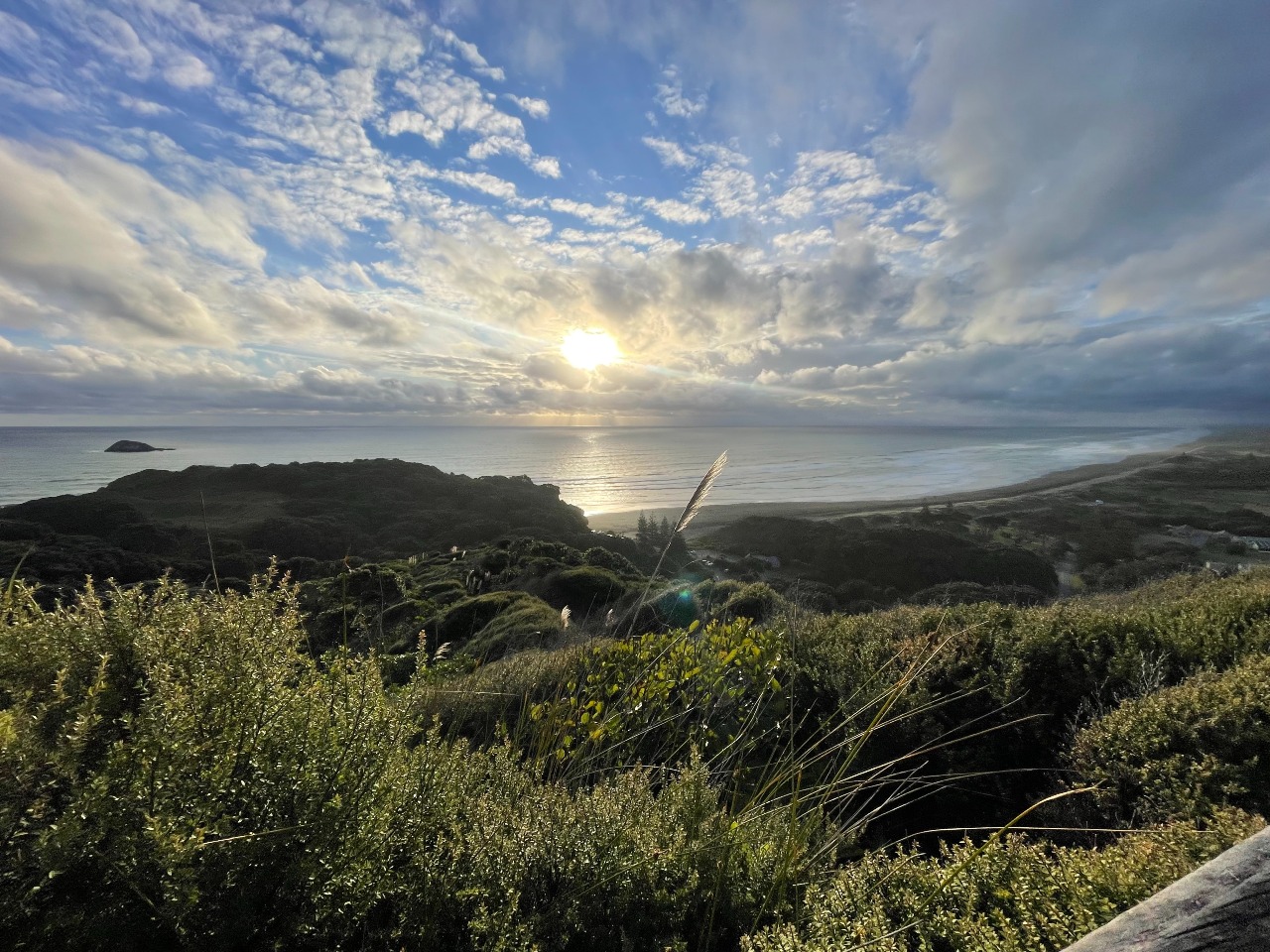 Muriwai Community Association (MCA)
Restore Muriwai Project